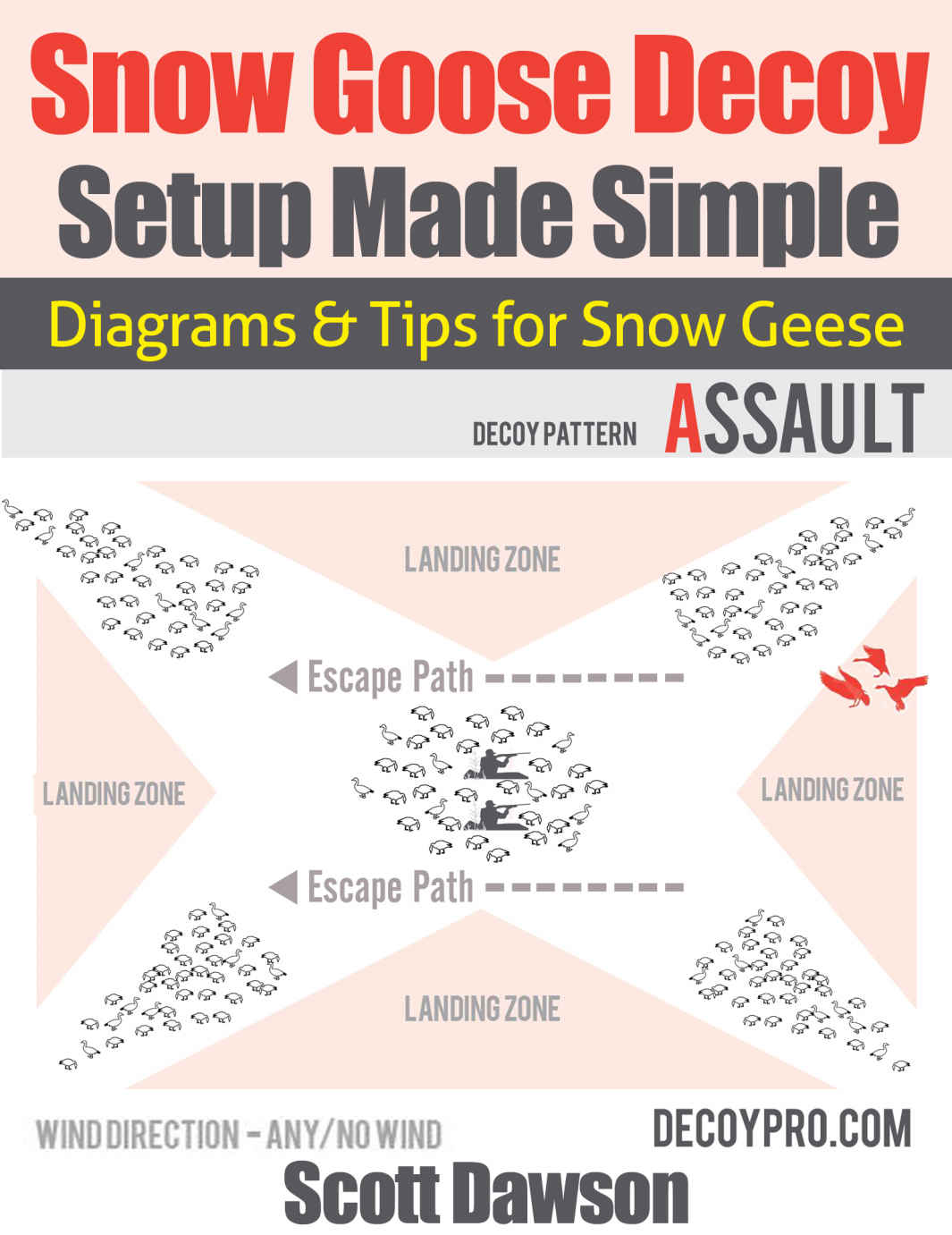 Snow Goose Decoy Setup Made Simple